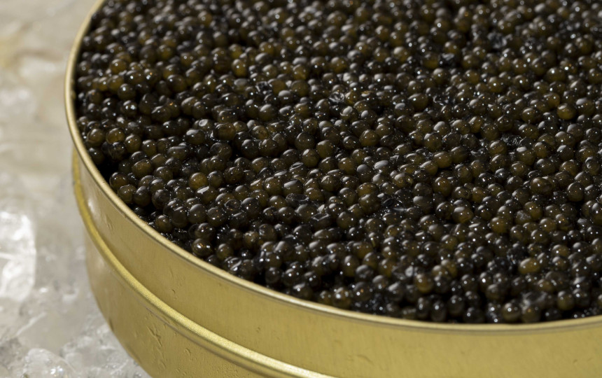 Caviar Tasting Menu (New)